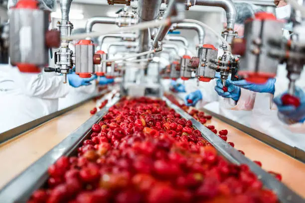 Food Manufacturing